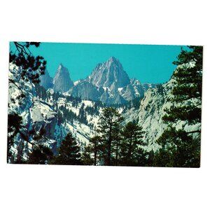 Mt Whitney CA Vintage Postcard Snow Covered Peaks Tall Pine Trees Scenic View